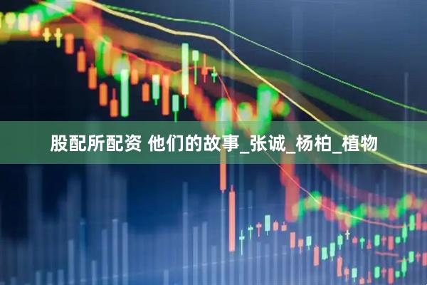 股配所配资 他们的故事_张诚_杨柏_植物